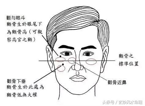 臉頰飽滿面相|面相：從顴骨看你的富貴有多大！